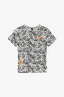 LE TEMPS DES CERISES T-shirt Noribo Gris