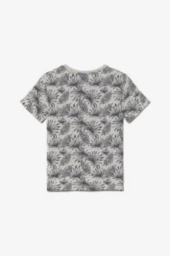 LE TEMPS DES CERISES T-shirt Noribo Gris -Le Temps Des Cerises 231 bnoribo000000mc 8002 imaged2