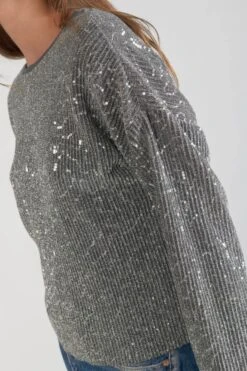 LE TEMPS DES CERISES Top Able Argenté -Le Temps Des Cerises 231 fable00000000ml 1149 imaged2