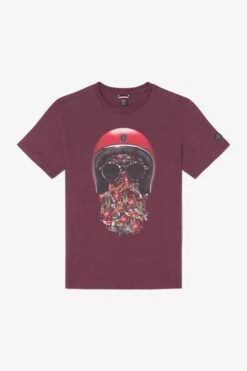 LE TEMPS DES CERISES T-shirt Gregor Lie De Vin Imprimé -Le Temps Des Cerises 231 hgregor000000mc 4033 imaged8
