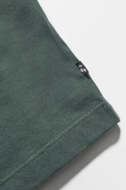 LE TEMPS DES CERISES T-shirt Priahgi Vert Bouteille -Le Temps Des Cerises 232 gpriahgi00000mc 9898 imaged2